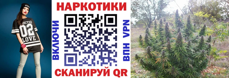 Купить закладку Ардон Галлюциногенные грибы Cocaine A PVP ГАШИШ Конопля АМФЕТАМИН